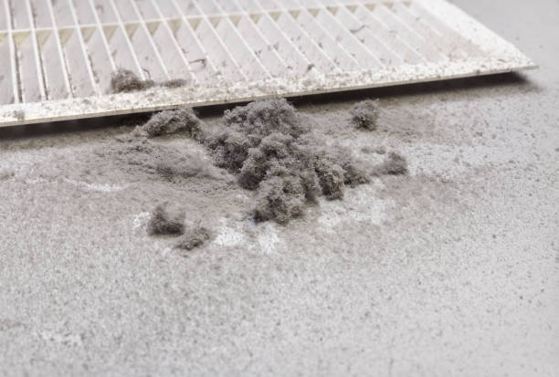 Best Affordable Duct Cleaning Services  in Fulton, IL