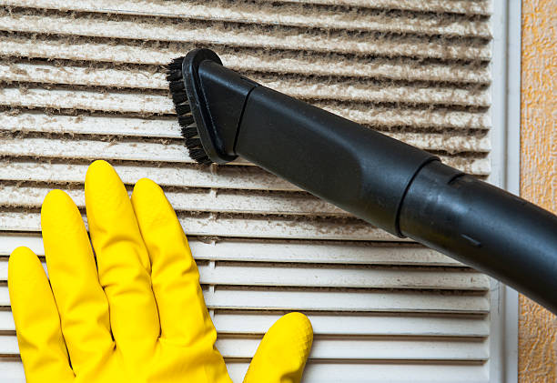 Best Affordable HVAC Duct Cleaning  in Fulton, IL